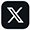 X Icon